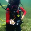 How are you Celebrating World Oceans Day? big_reef_024