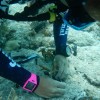 Learning how to Transplant Coral at Mote Marine Laboratory – Summerland Key DSCN1261