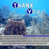 A Huge Thank You! Thank You