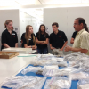 SCUBAnauts “Dive In” Behind the Scenes at The Smithsonian SCUBAnauts explore marine invertebrate specimens.