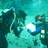 SCUBAnauts Scour Alexander Springs for Apple Snails – Score for Science! Nauts use a quadrat and underwater paper to record the presence of two snail species (or in this case--the lack thereof)!