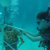 Naut-in-Training Explains Coral Outplanting DCIM114GOPRO