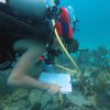 For SCUBAnauts, Weather Not a Damper DCIM100GOPROGOPR0501.JPG