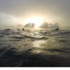 Sun’s Down, Fins Up! DCIM100GOPROGOPR0484.JPG
