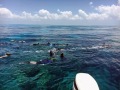 More Beneath the Surface