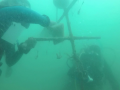 Keep our corals clean
