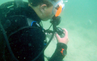 Sci-Diver Trains Teens as Scientists