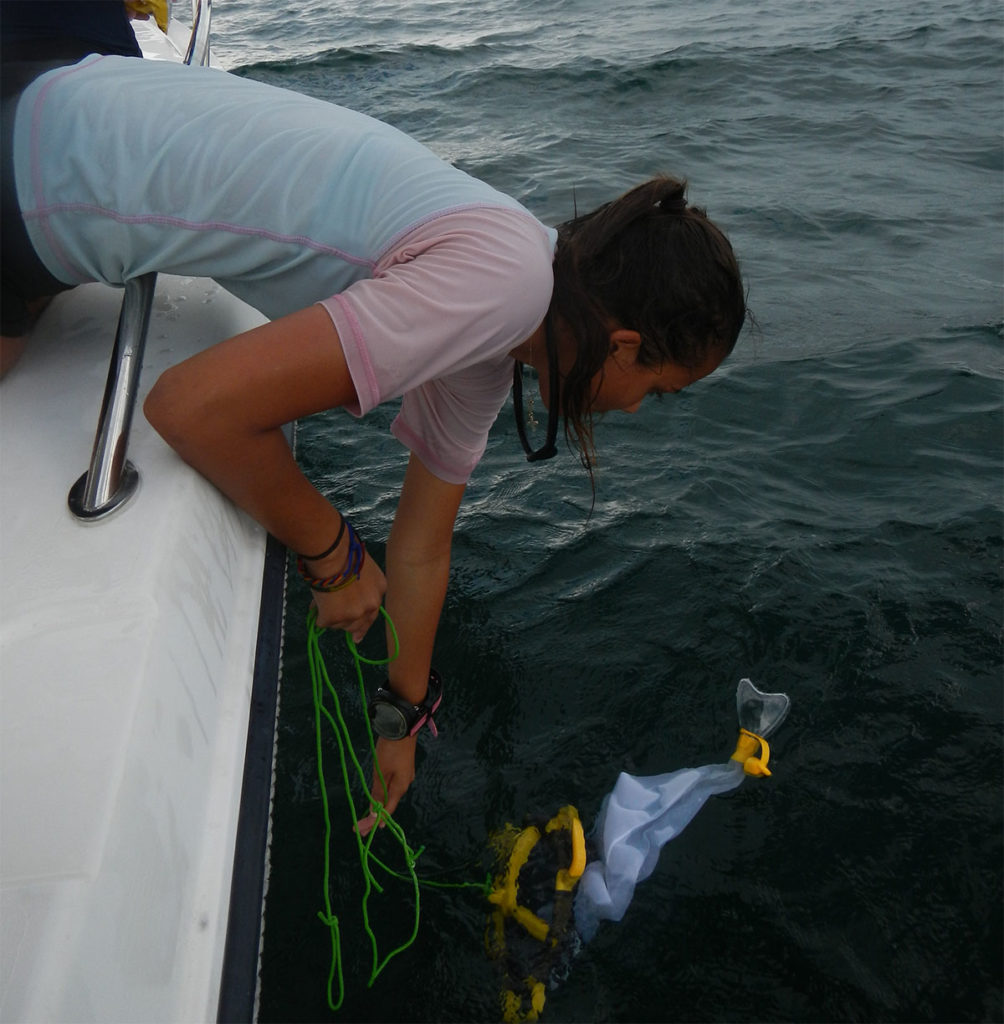 diver towing plankton off side of boat 