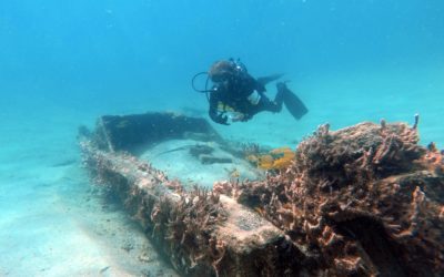 Senior Nauts Explore Jupiter, Florida Dive Sites