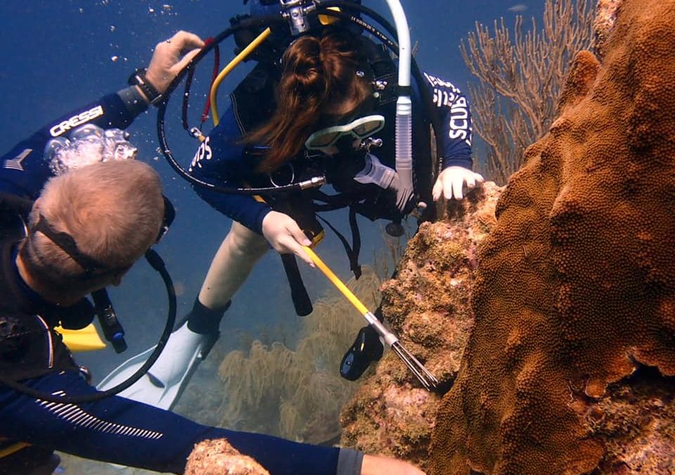 NC Nauts Spring Break, New Partnerships, Lionfish Removal, and Coral Restoration in Aruba