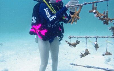 Corals Changing Oceans, Careers and Friendships
