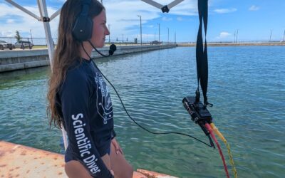 Full Face Masks and Underwater Communications in Panama City