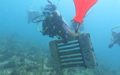 Helping Oceans Recover