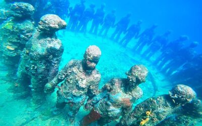A Day in the Life in Grenada