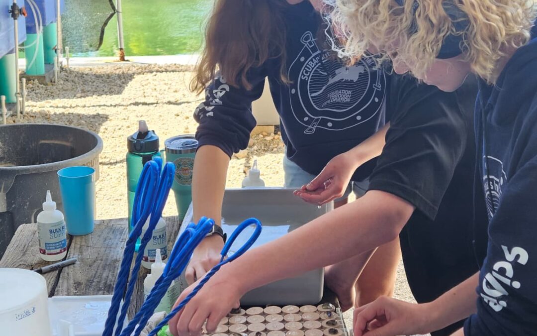 Coral Restoration in the Lower Keys: A Weekend at Mote’s Summerland Key Nursery