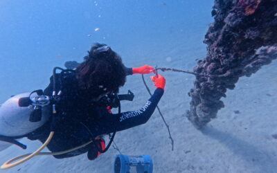 Key West Cleanup Dive