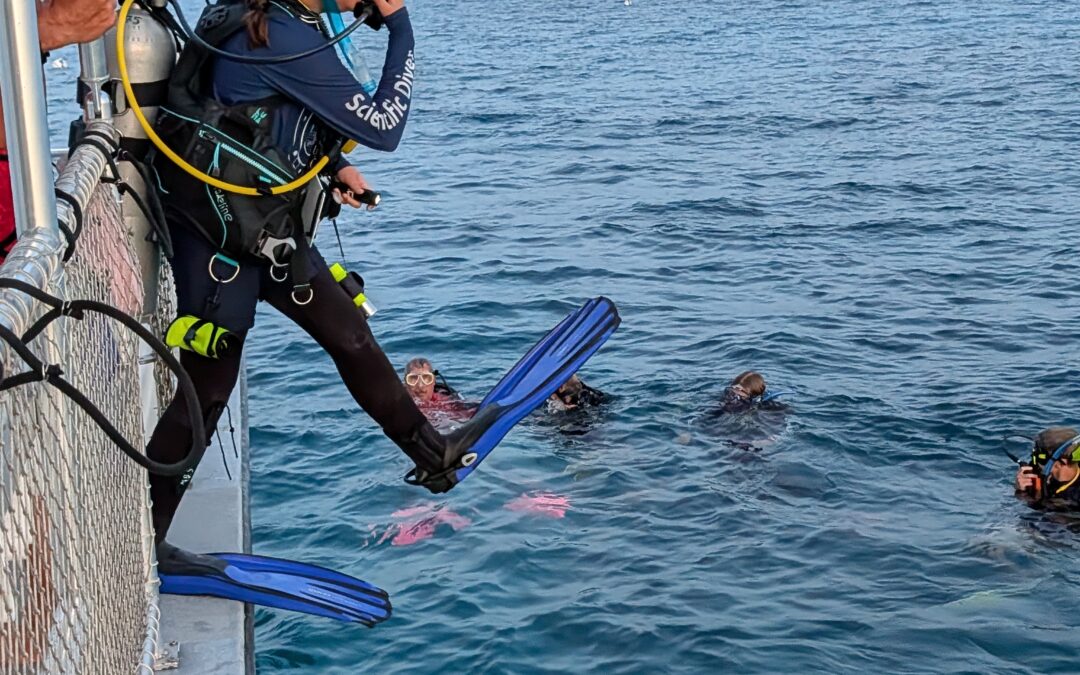 My First Night Dive