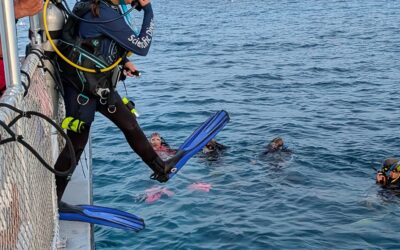 My First Night Dive