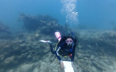 Mass Heating Event Impact on Fish Populations